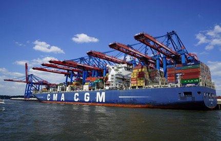 荷兰双清：荷兰海运入口门到门双清