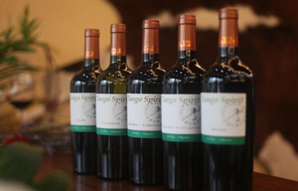 入口海运：阿根廷海运入口到中国门到门双清