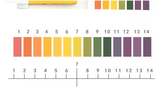 鉴黑担保网(jhdbw)·最具权威唯一维权担保平台