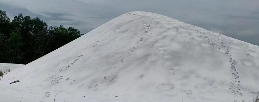  马来西亚石英砂入口厦门港清关流程