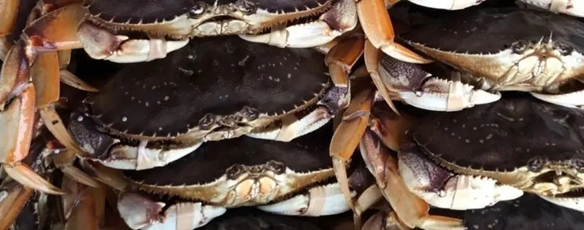 水产入口：海鲜入口从香港中转内地怎样清关？？？？？？？？