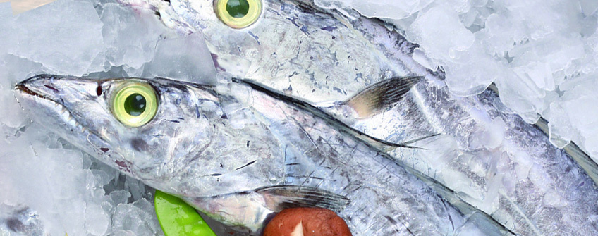 冻带鱼入口报关注重事项？？？？？？？？