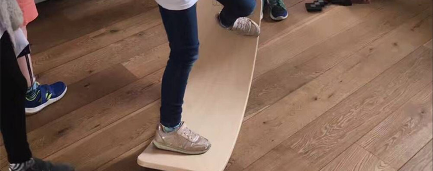 荷兰平衡板入口深圳清关