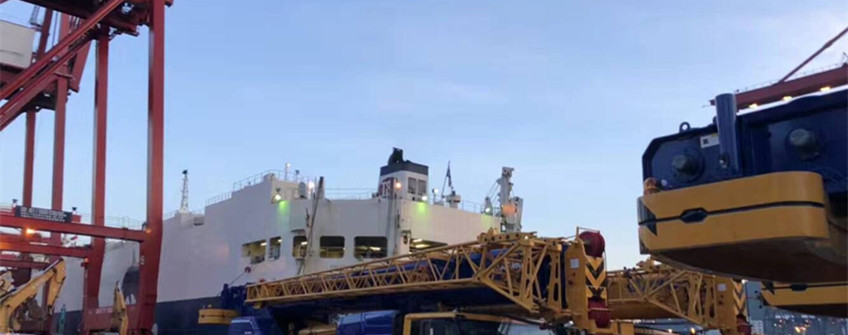 冻品冻肉国际采购：猪头入口清关注重事项