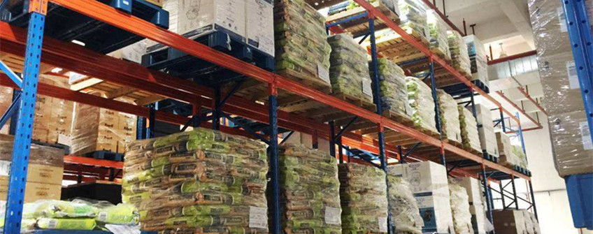  入口宠物粮怎样挑。。。。。。浚？？？？？？