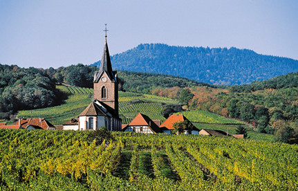 葡萄酒入口报关：法国红酒入口报关要素有哪些？？？？？？